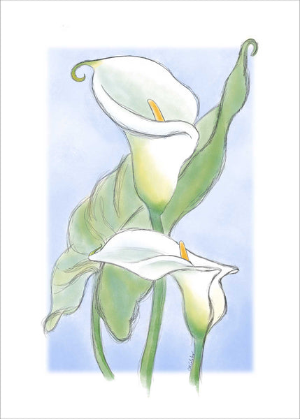 R839 Calla Lilies - Notecards
