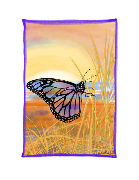 R802 Butterfly Light - Notecards