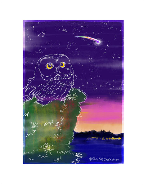 R808 Night Owl - Notecards