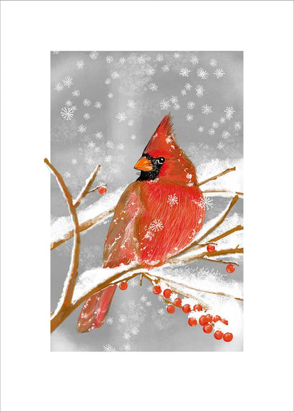 R827 Northern Cardinal - Winter - Notecards